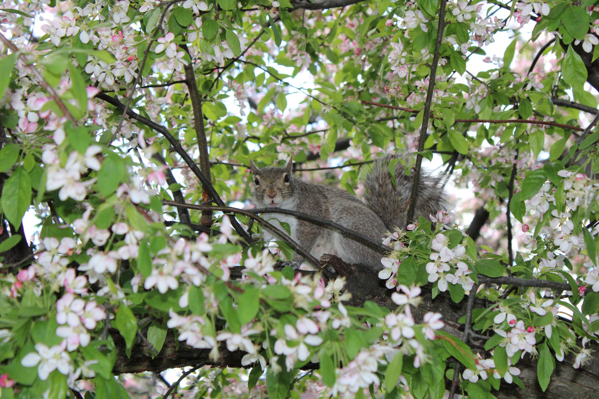 Photos from May 6th, 2023